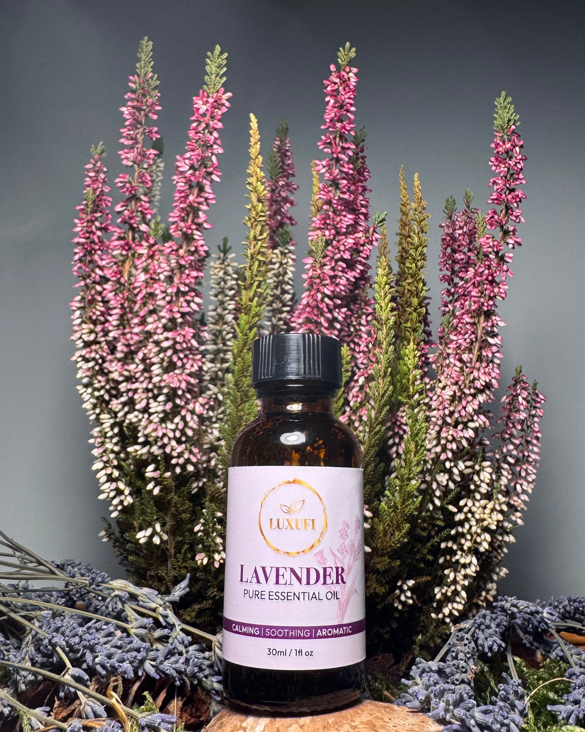 Lavender Essential Oil – Pure & Natural