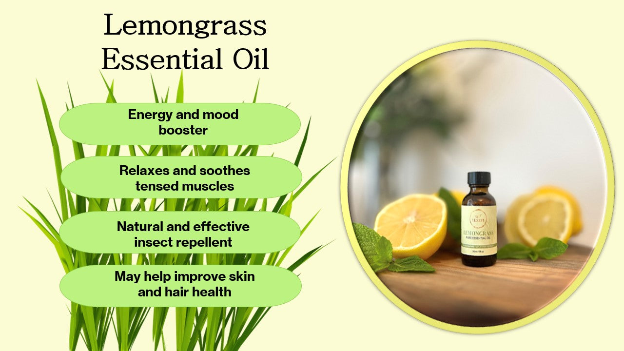 Lemongrass Essential Oil – Pure & Natural