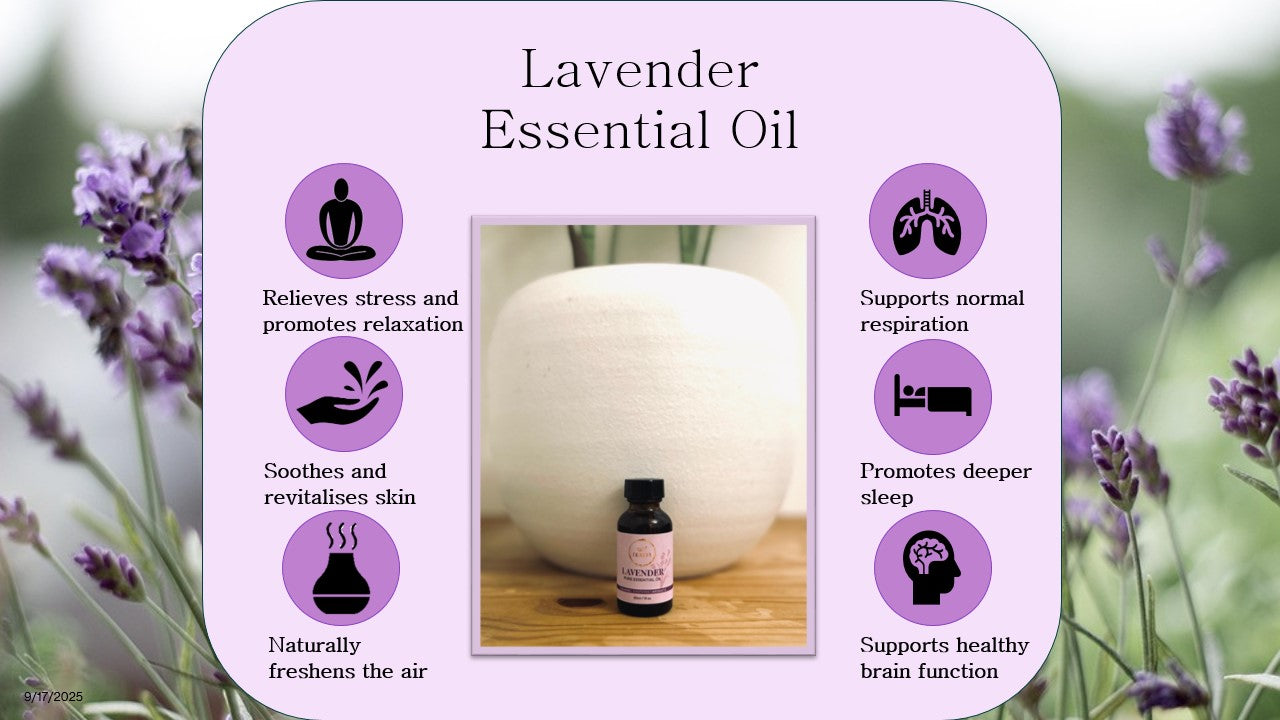 Lavender Essential Oil – Pure & Natural
