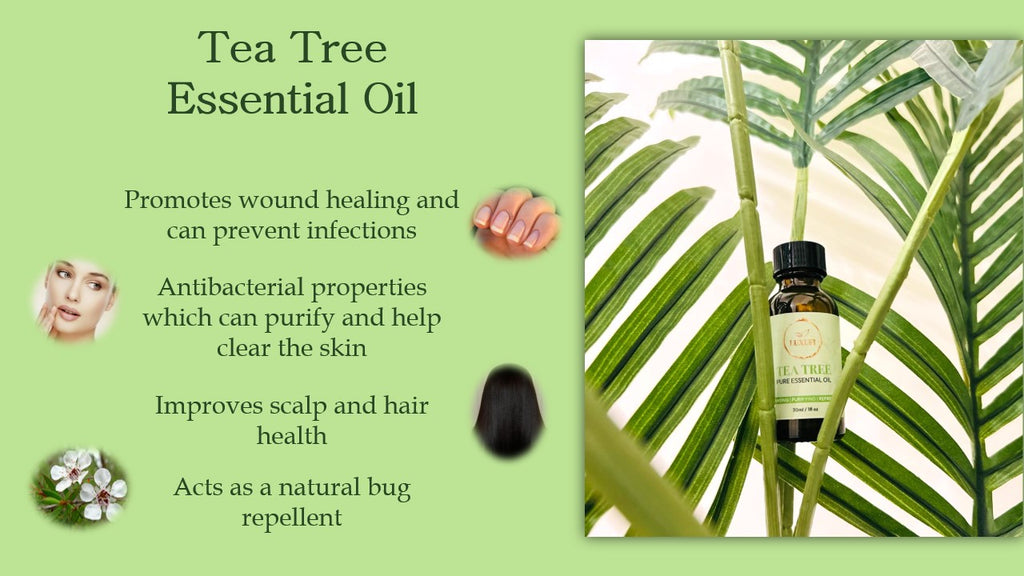 Tea Tree Essential Oil – Pure & Natural