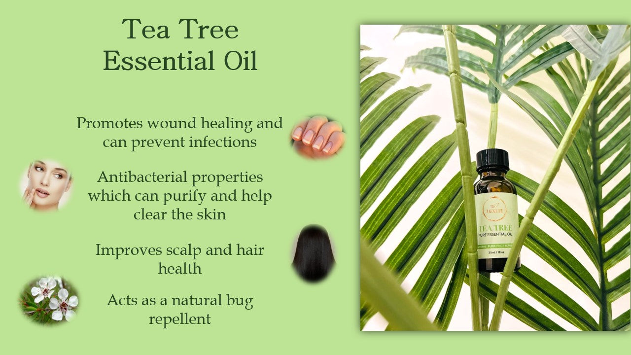 Tea Tree Essential Oil – Pure & Natural