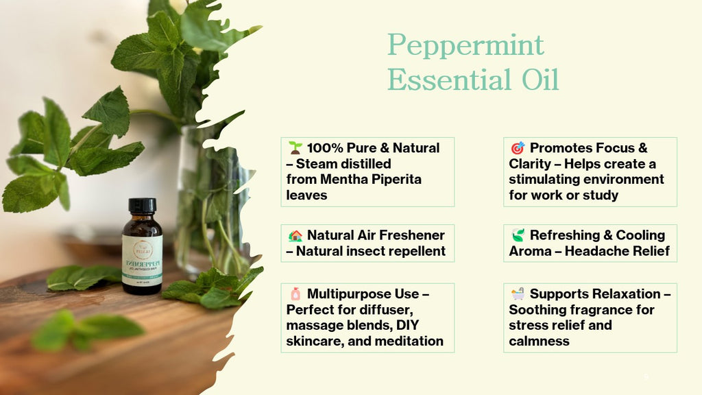 Peppermint Essential Oil – Pure & Natural