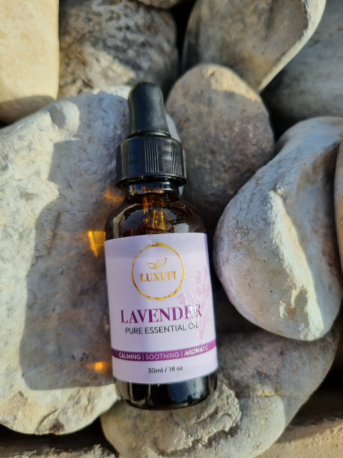 Lavender Essential Oil – Pure & Natural