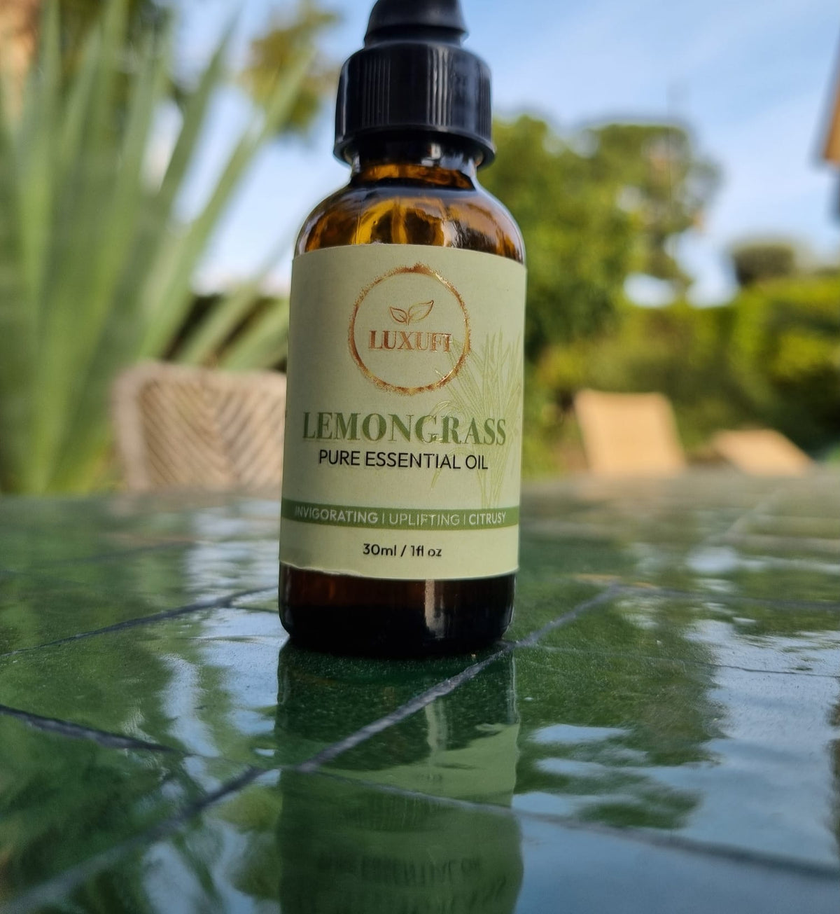 Lemongrass Essential Oil – Pure & Natural