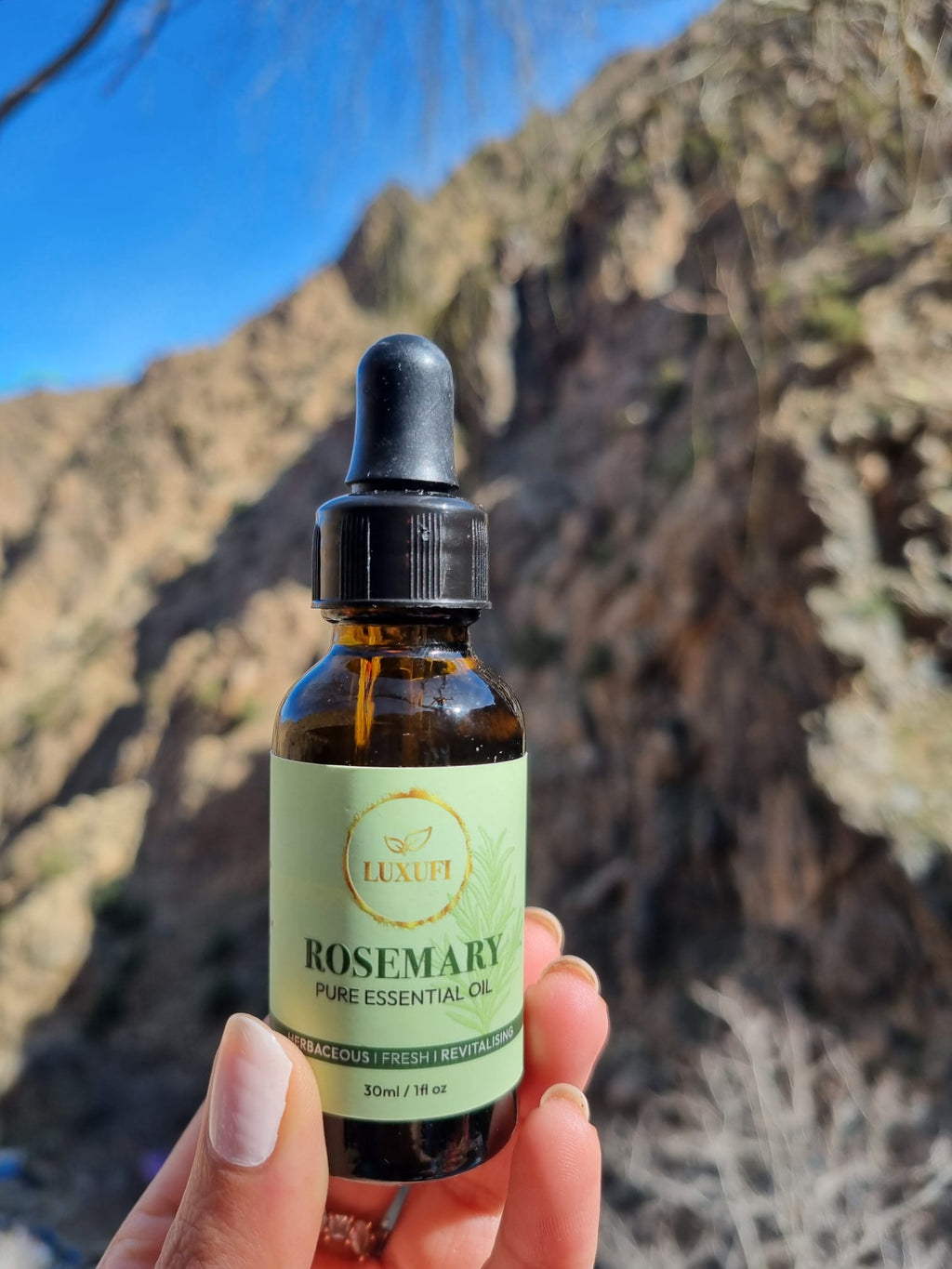 Rosemary Essential Oil – Pure & Natural