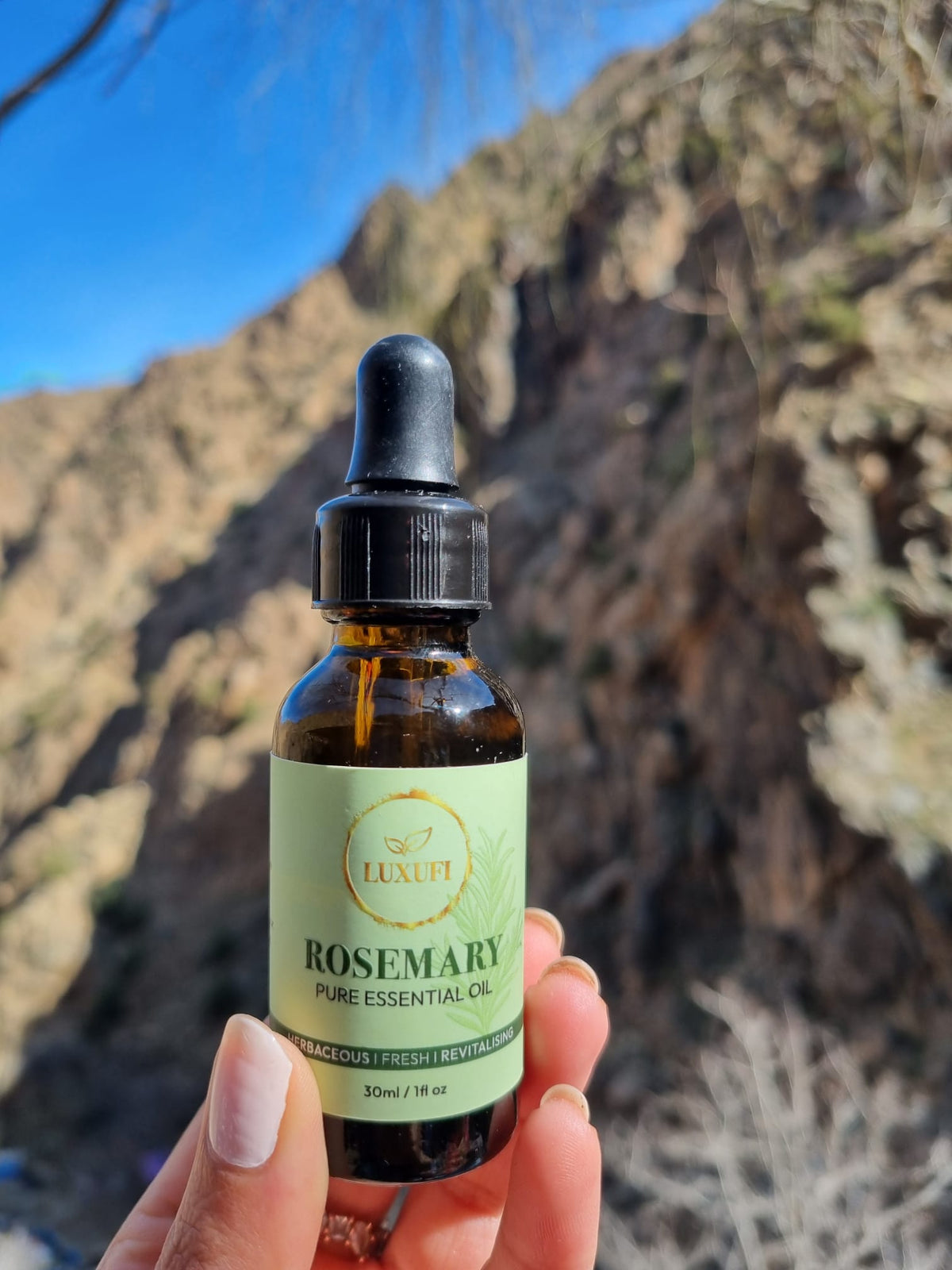 Rosemary Essential Oil – Pure & Natural
